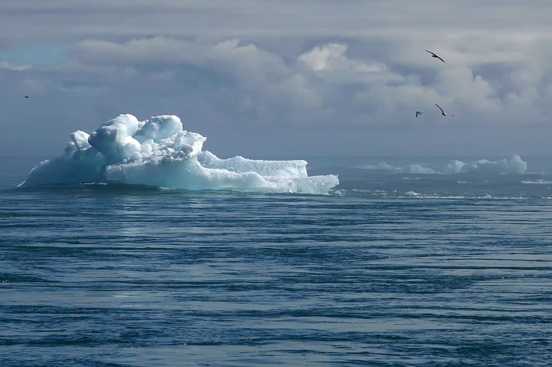 Climate Considerations